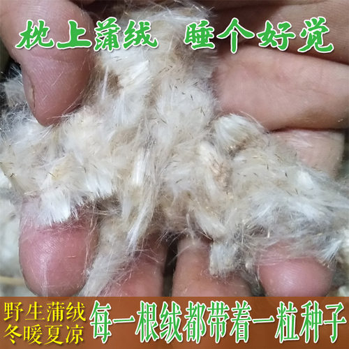 天然护颈椎枕芯天然蒲绒