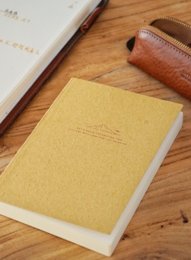 物致WUZHI®钢笔笔记本A6A5定页本芯时间轴一日一页正念手帐内芯