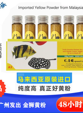 马来西亚金狮观赏鱼龙鱼罗汉发财鱼金鱼蒙眼烂肉水霉黄粉日本黄粉