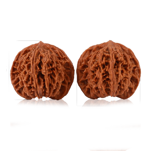 文玩核桃苹果园狮子头核桃把玩闷尖白狮子头手玩核桃密纹虎头官帽