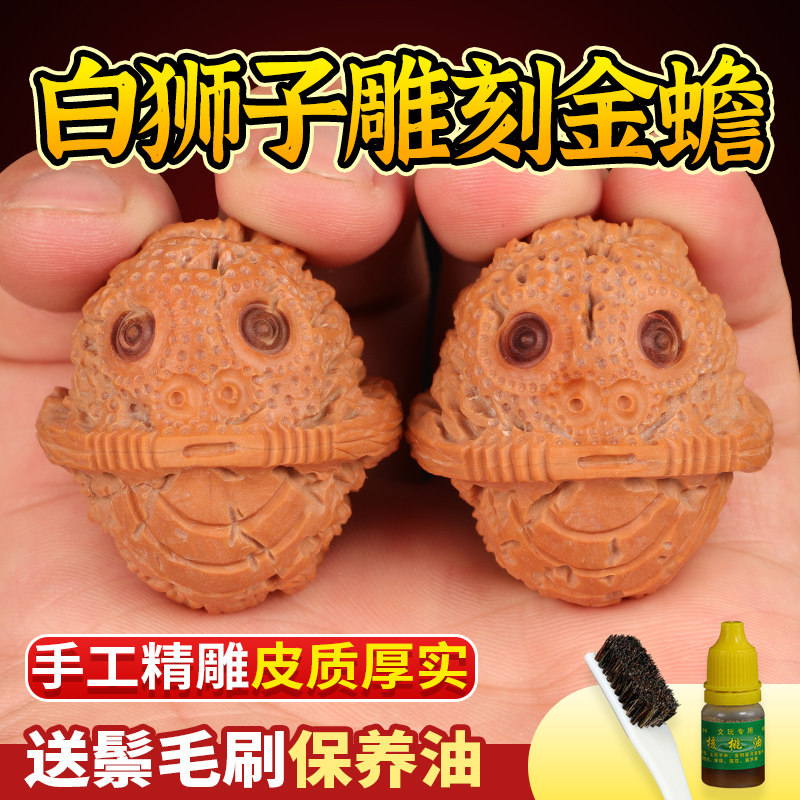 文玩核桃雕刻金蟾蛤蟆核桃天然野生白狮子核桃文玩手工精雕手把件