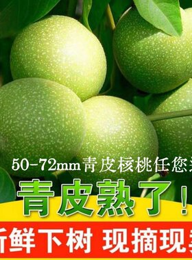 核桃文玩赌青皮蛤蟆头满天星苹果园盘玩四座楼狮子头磨盘麒麟官帽