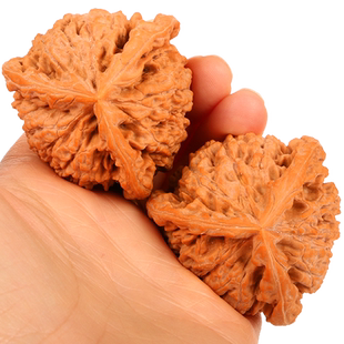 文玩核桃王勇大官帽拼接三棱文玩核桃三道筋异型三棱正奔核桃文玩