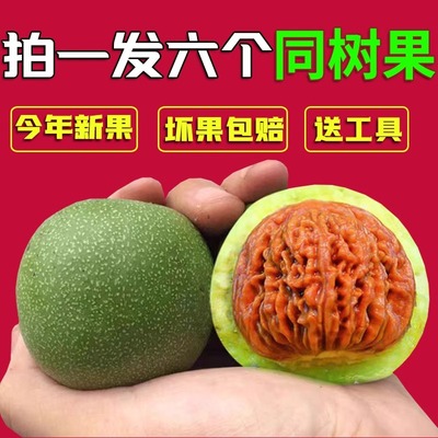 青皮蛤蟆头文玩核桃三棱四座楼狮子头磨盘宫灯苹果盘玩手把件官帽
