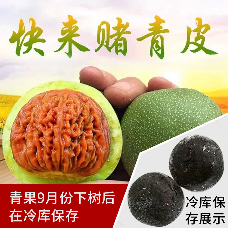 青皮文玩核桃赌官帽四座楼苹果圆白狮子蛤蟆头虎宫灯蛤蟆头手把盘