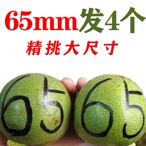 （拍1发4）青皮文玩核桃特大收藏级麒纹麟官帽四座楼狮子头把玩