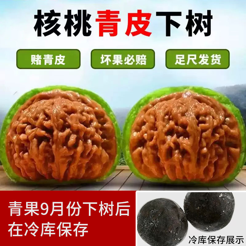 赌青皮文玩核桃大尺寸老树四座楼闷尖狮子头白狮子麒麟纹官帽带皮