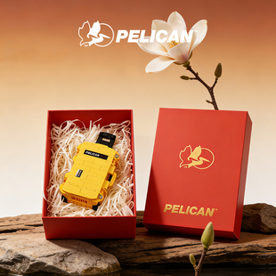 PELICAN派力肯 1535air黄色旅行箱男女孩拼搭积木玩具礼物5岁积木