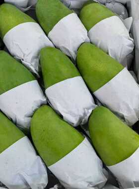 金煌芒越南大青芒当季新鲜水果