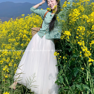 白色纱裙2026春季新款灰色网纱半身裙蓬蓬裙高腰显瘦遮跨长裙大摆