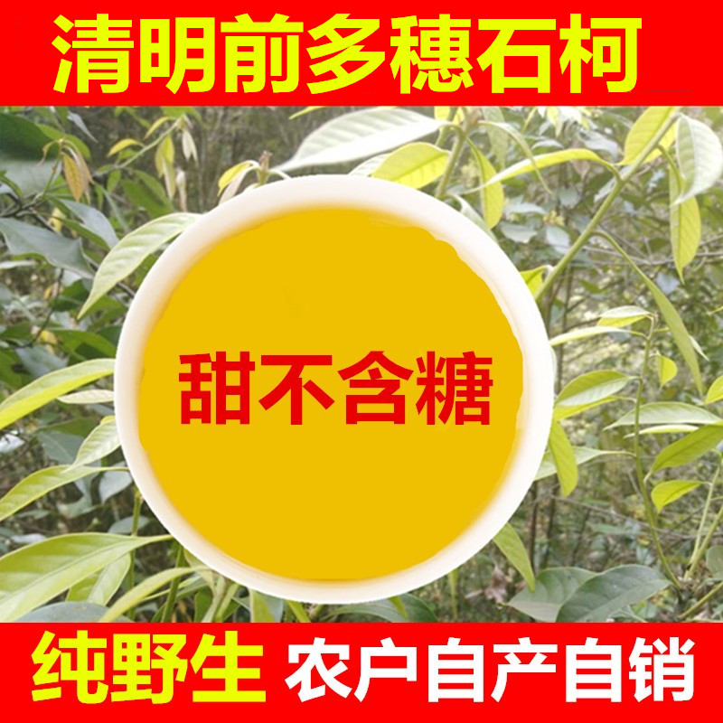 野生多穗石柯甜茶清明前特级木姜叶柯特嫩甜茶叶江西华南六祖甜茶 传统滋补营养品 养生茶 原图主图