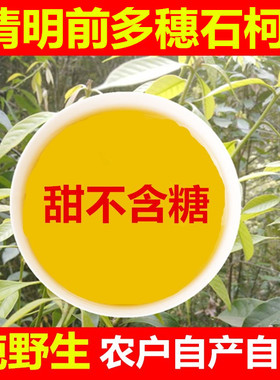 野生多穗石柯甜茶清明前特级木姜叶柯特嫩甜茶叶江西华南六祖甜茶