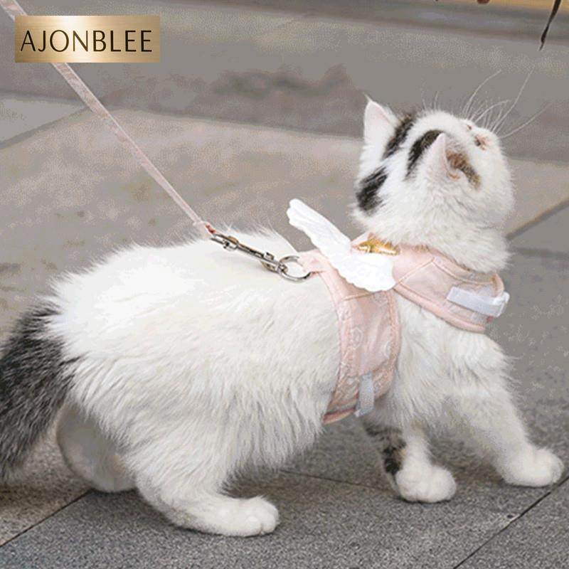 猫绳牵引绳防挣脱可调节款布偶猫外出遛猫防乱窜高颜值猫绳子猫链,宠物/宠物食品及用品,猫牵引绳,淘宝优惠券,粉丝福利购,淘宝优惠卷