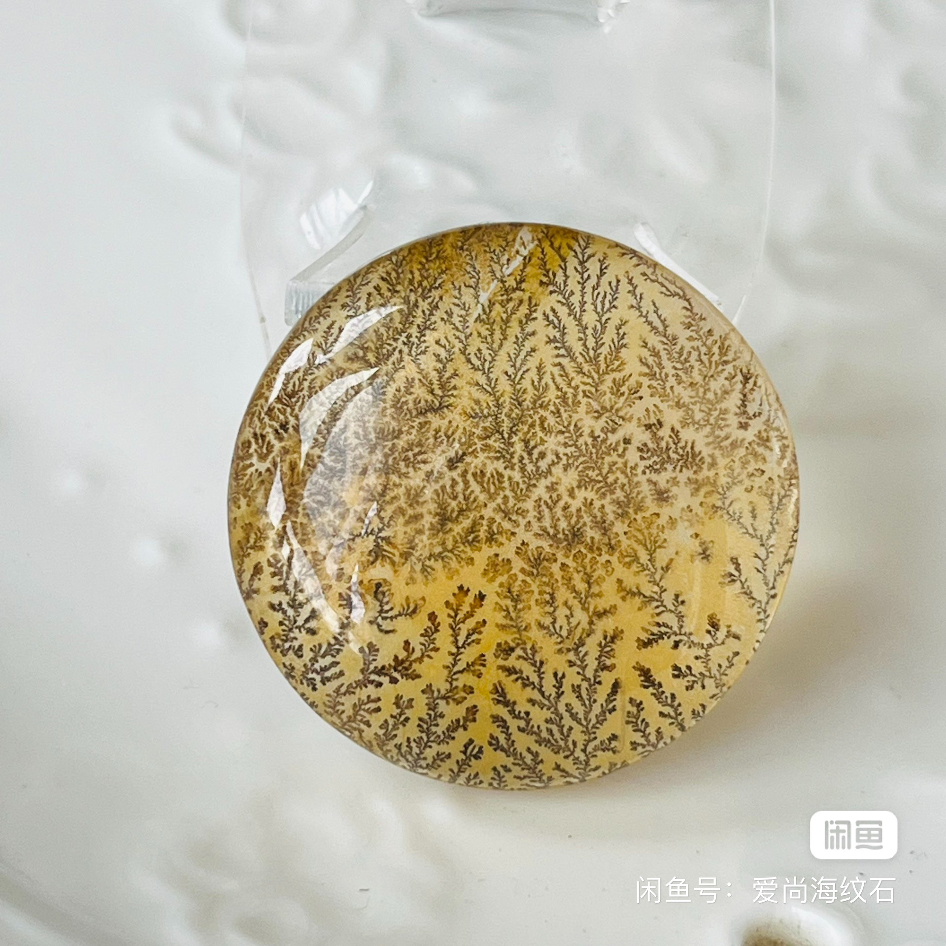可遇不可求(招财树水晶),生命之树,大自然美景29×29×8.8mm