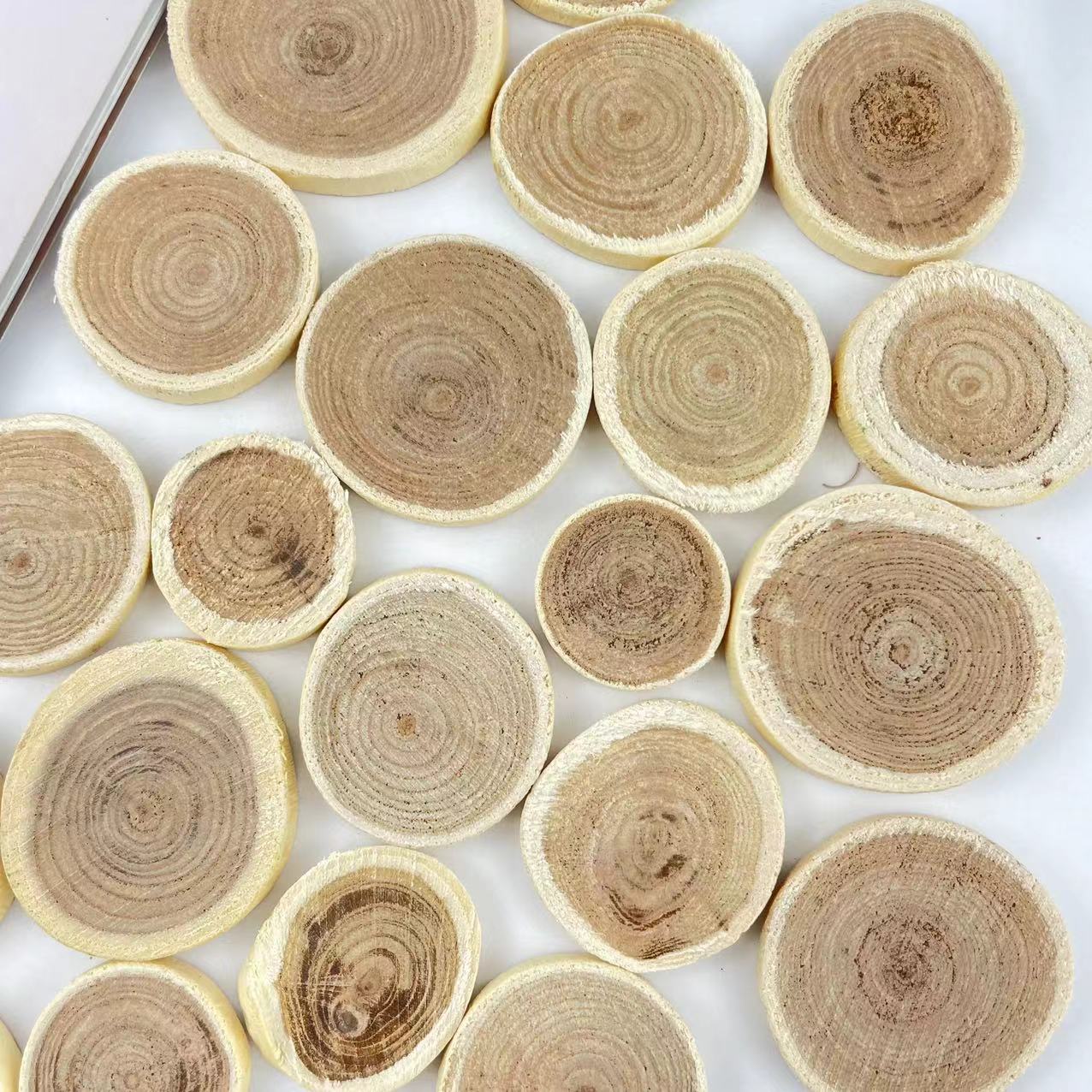 【小木片】天然树木切片 手工DIY素材辅材 幼儿园幼教自然环创用