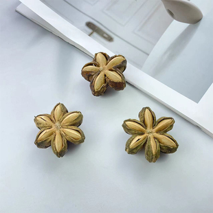 【星油藤】南美植物果实干花手工diy材料植物标本相框干果印加果