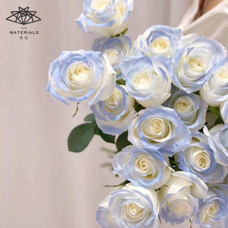 亿通花艺珠光喷色剂 鲜花干花玫瑰花染色碎冰蓝乌梅子酱彩色喷漆,男装,T恤,淘宝优惠券,粉丝福利购,淘宝优惠卷