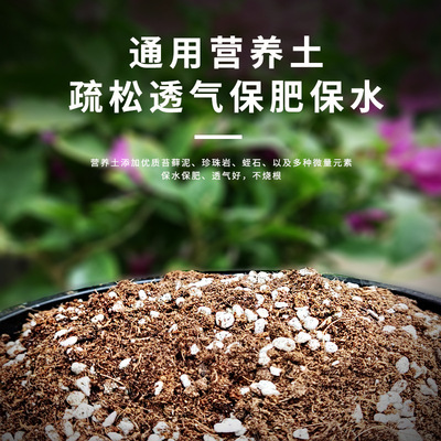 Horticultural soil, flowers, plants, vegetables, greening,