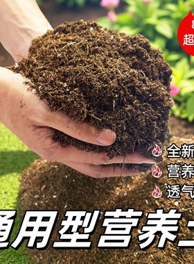 Universal nutrient soil, decomposed pine needle soil, humus