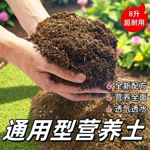 nutrient needle soil pine humus decomposed Universal