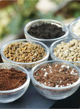 Succulent granular soil, nutrient soil, pavement stone, red