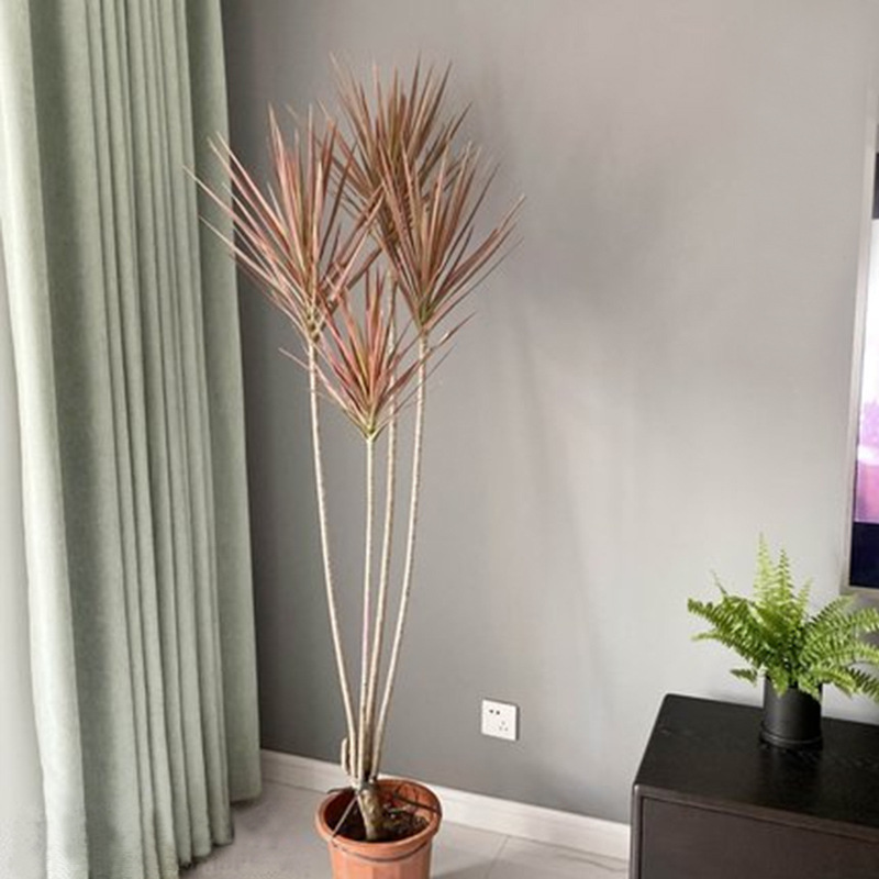 Colorful Iron Millennium Wood Living Room Potted Plant Thre