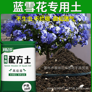 Soil Nutritious Flower Type Planti Blue Vegetable Snowflake