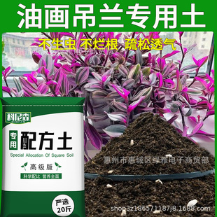 nutrient soil flower Oil vegetable hanging type painting