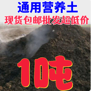 Hair Straight Mixed Type Wholesale Pine Nutritionist