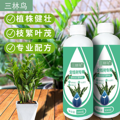 Money tree specific nutrient solution, leaf surface fertili