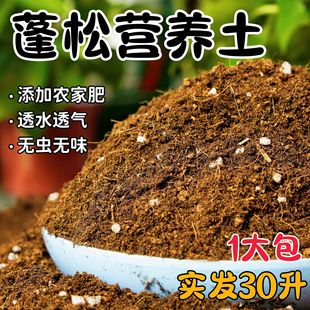 Nutritionist Nurturing Lightweight Flower Soil Universal