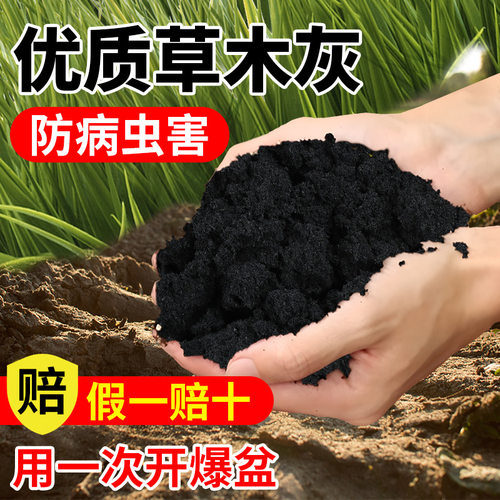 Pure farm plant ash, natural potassium fertilizer, organic
