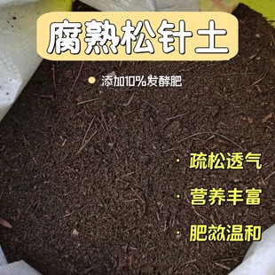fermented pine soil amount needle nutrient large