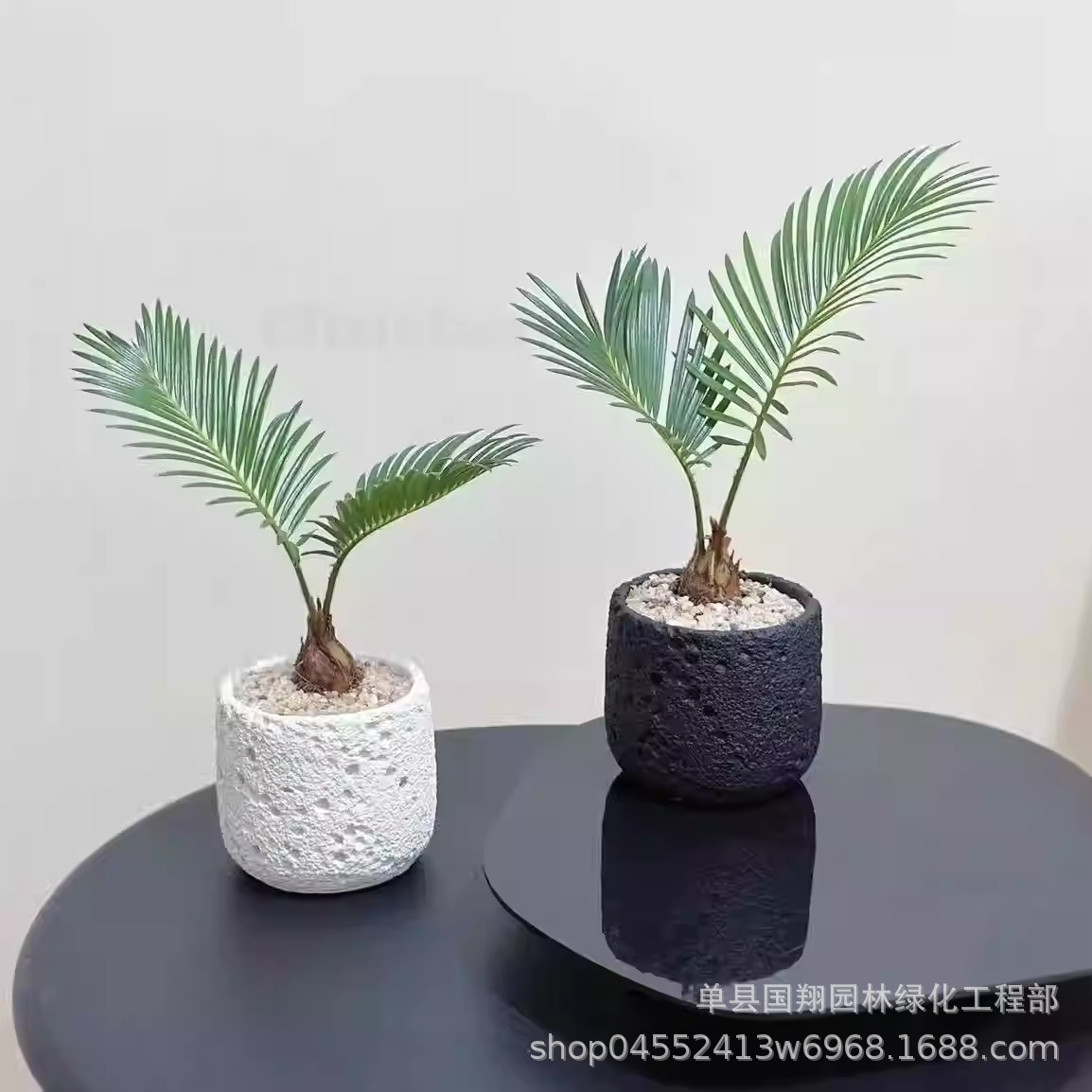 Iron trees are good for nurturing plants, gifts, potted pla