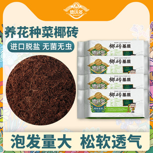 Compressed Nutritious Coconut Soil Soi Brick Devodo