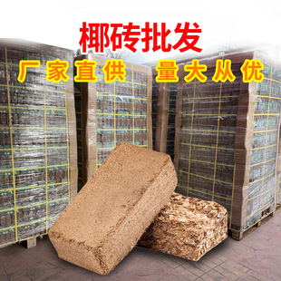 salt flower soil Coconut succulent low nutrient coir