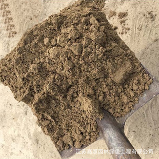 seedling plant cultivation soil vege Flower succulent and