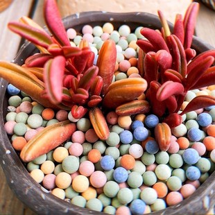 flower with bottom Colorful stone granule paving ceramic