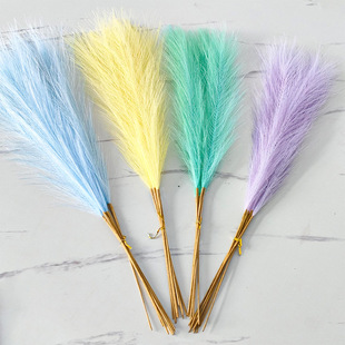 初秋莫迪色系色系芦苇插枝仿真烟花拍摄道具马卡龙色系