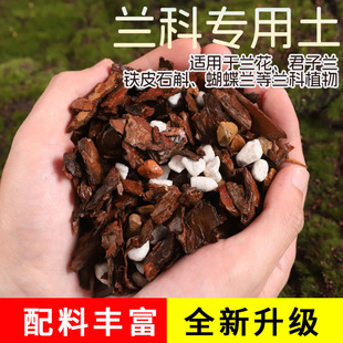 Tujia nutrition courtyard gentleman Flower iron specific