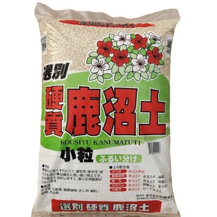 deer swamp soil Imported pavement Japan succulent Rho from