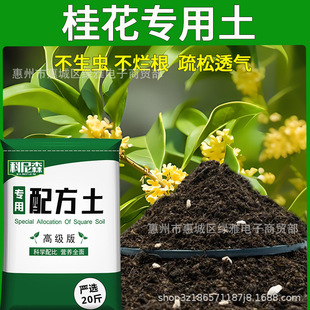 soil nutrient flower type Osmanthus vegetable fragrans
