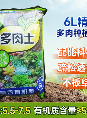 Succulent planting pavement anti rot root nutrition granula