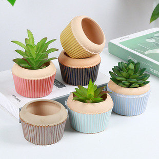 创意条纹圆形陶瓷小花盆生石花蛋糕可爱花盆多肉植物盆栽组合