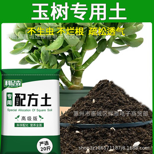 Nutritious Vegetable Soil Type Planting Flower Yushu
