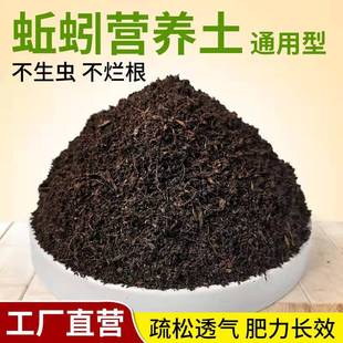 flower nutrient soil household universal Earthworm