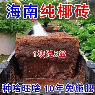 Coconut Nutritious Soil Organic Low Salt Coconut Brick Flow