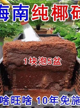 High foaming coconut brick nutrient soil, compressed coconu