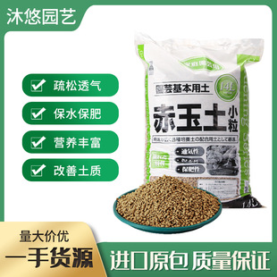 yaki Akabane first imported Japan Kumi from Original soil