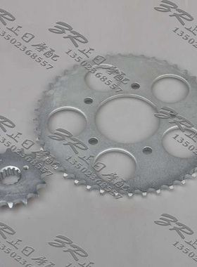 适用于本田铁马400 STEED VLX400大小链轮 大小飞 链盘 牙盘 齿轮